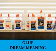 Dream About Glues