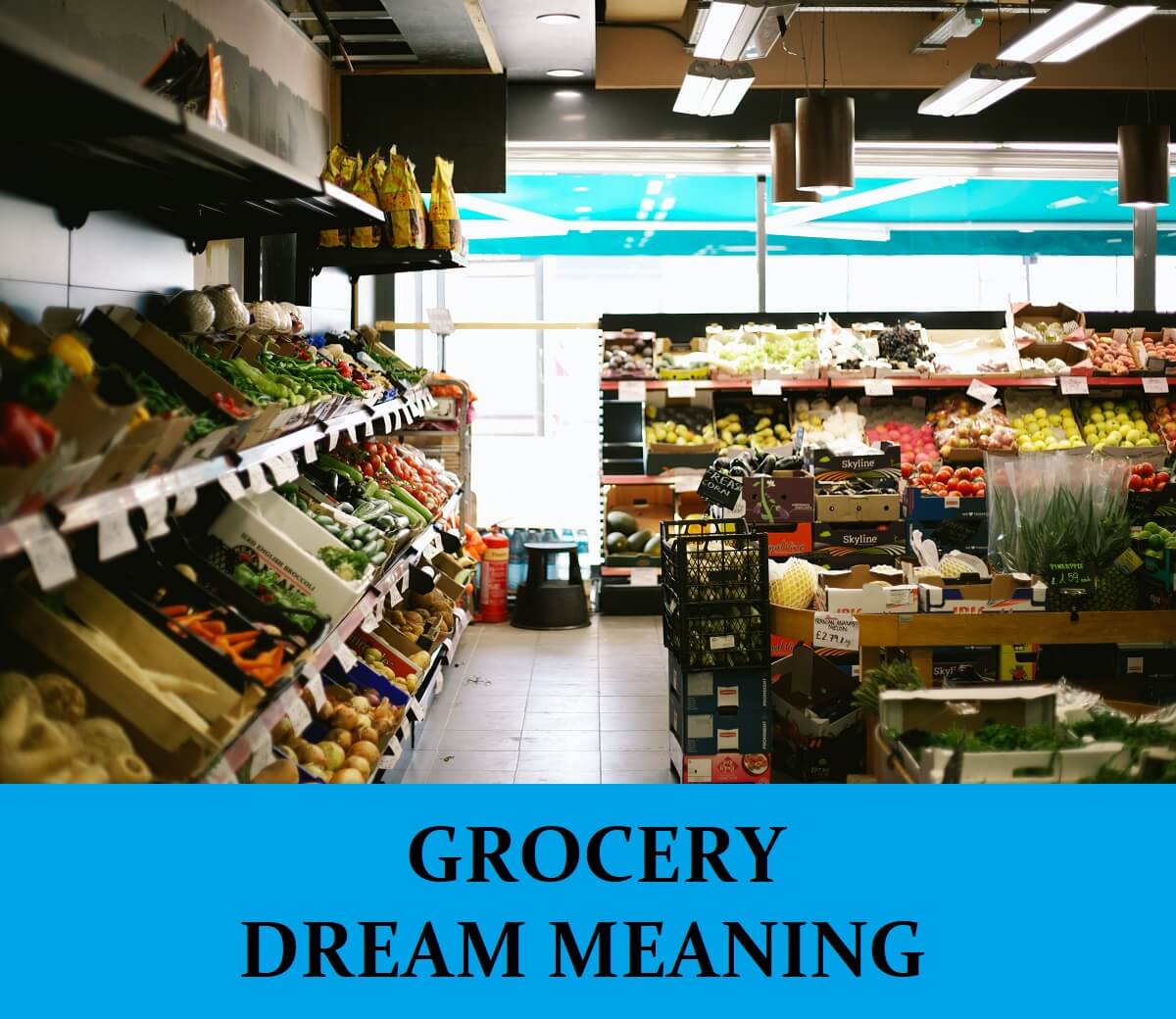 Dream About Grocery