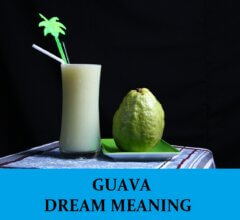 Dream About Guavas