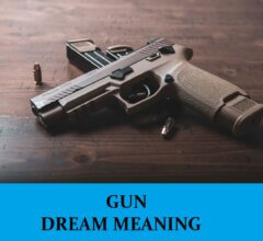 Dream About Guns