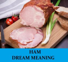 Dream About Hams