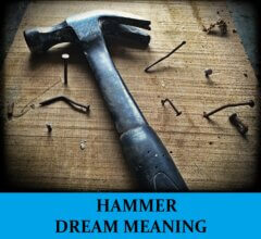 Dream About Hammers