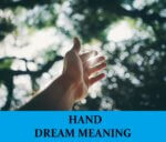 Dream About Hands
