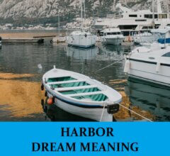 Dream About Harbors
