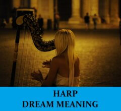Dream About Harps