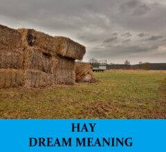 Dream About Hay