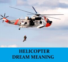 Dream About Helicopters