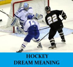 Dream About Hockey