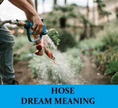Dream About Hoses