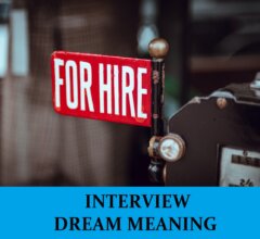 Dream About Interviews