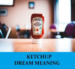 Dream About Ketchup