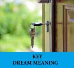 Dream About Keys