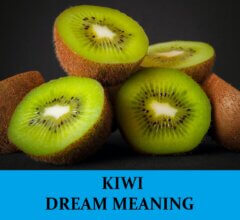 Dream About Kiwis