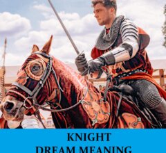 Dream About Knights