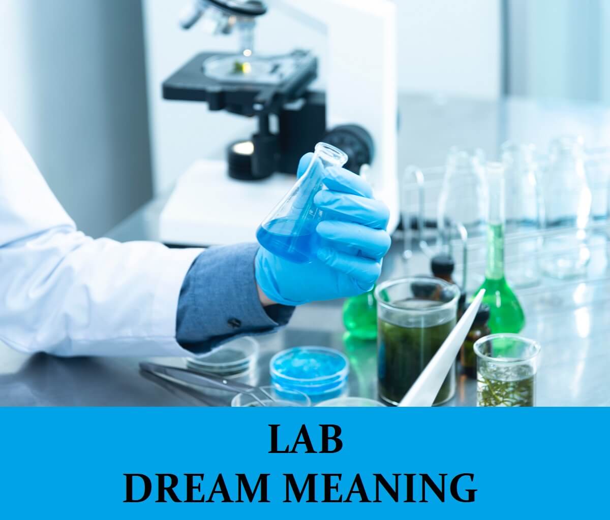 Dream About Labs