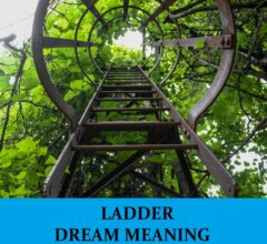 Dream About Ladders