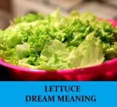 Dream About Lettuce