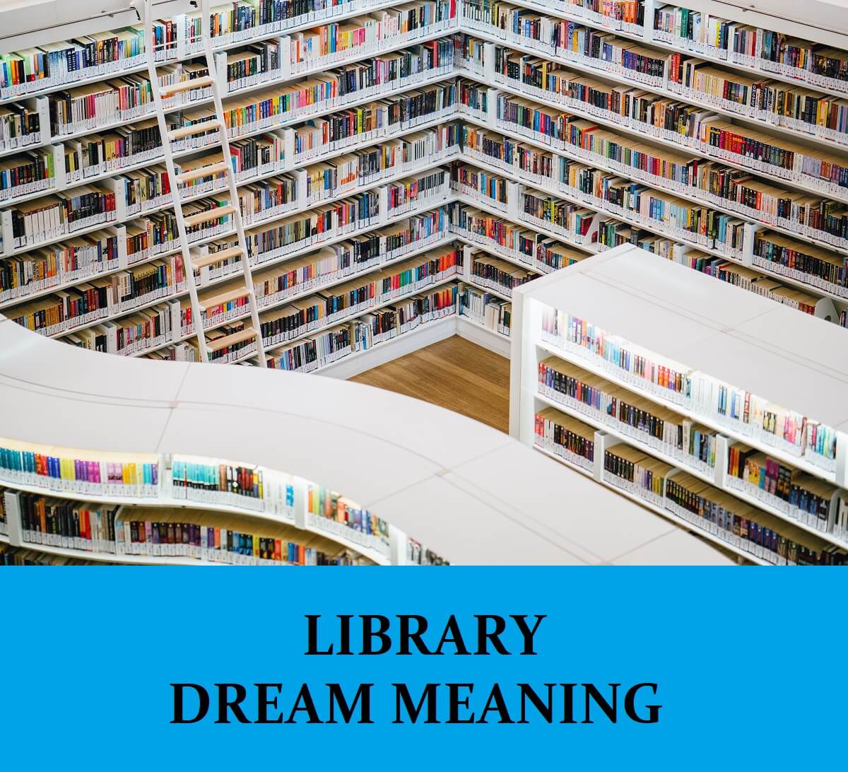 Dream About Library