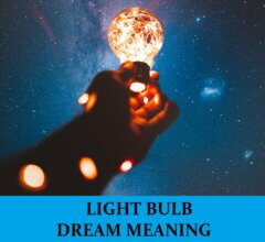 Dream About Light Bulbs