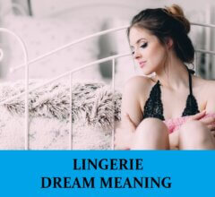 Dream About Lingerie