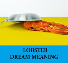 Dream About Lobsters
