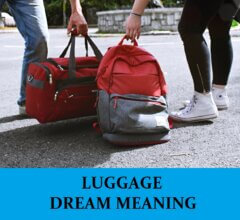 Dream About Luggages