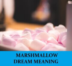 Dream About Marshmallows