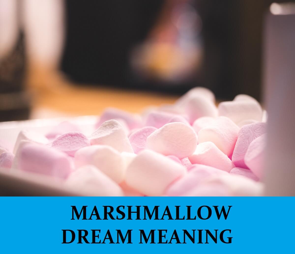 Dream About Marshmallows
