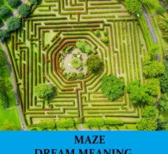 Dream About Mazes