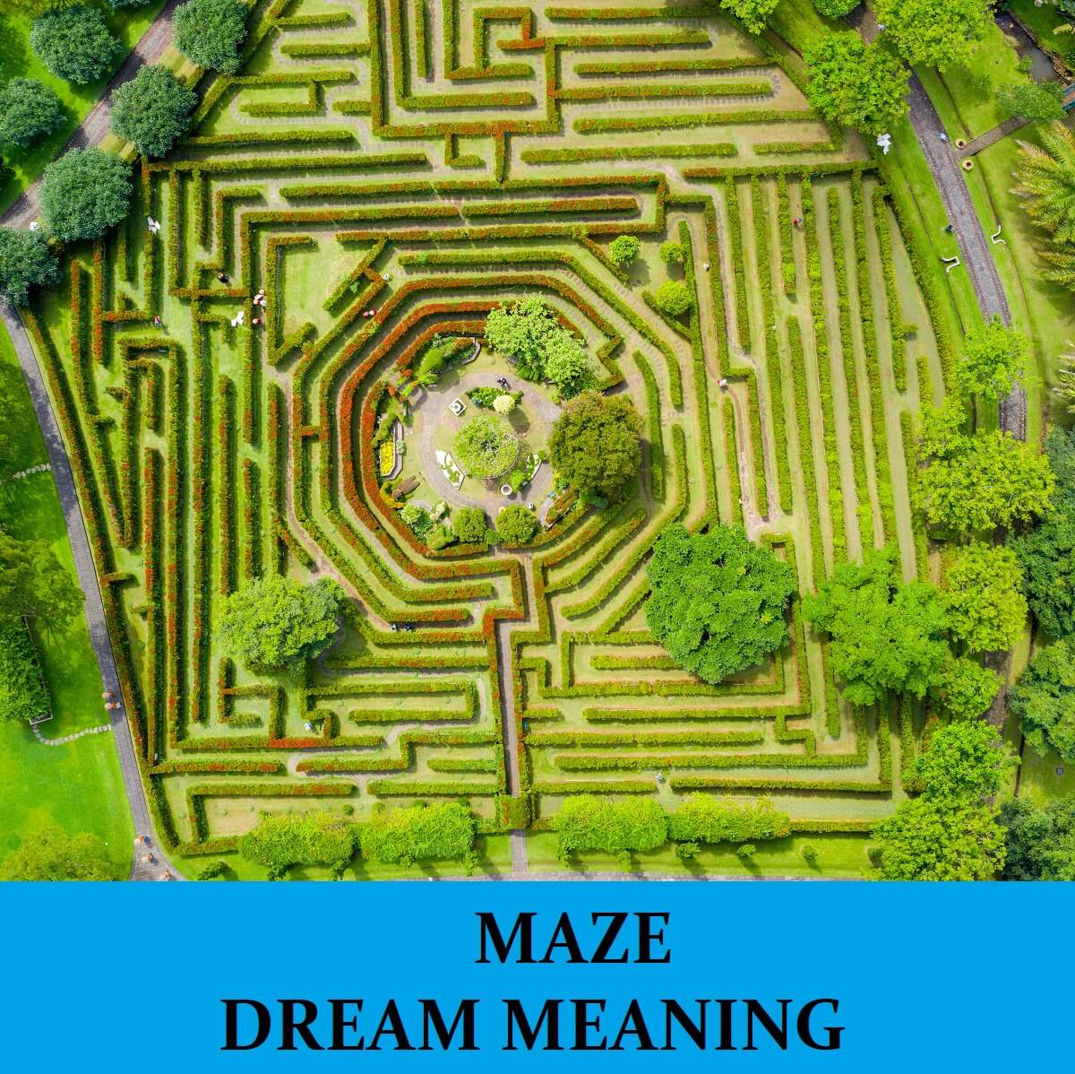 Dream About Mazes