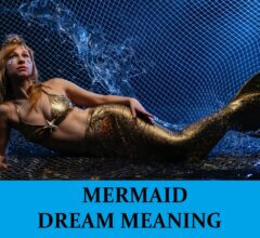Dream About Mermaids