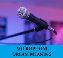 Dream About Microphones