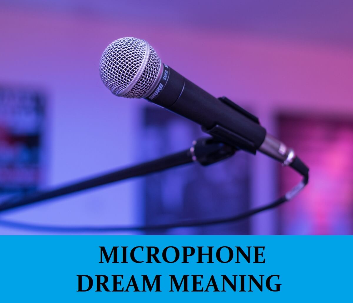 Dream About Microphones