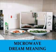 Dream About Microwaves