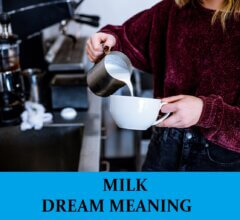 Dream About Milk