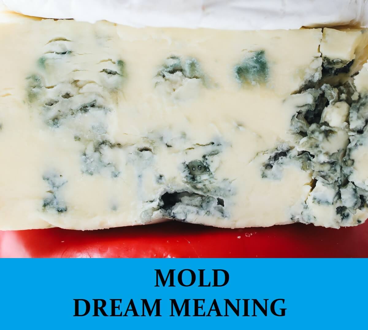 Mold Dream Meaning - Top 12 Dreams About Mold : Dream Meaning Net.