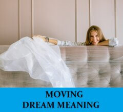 Dream About Moving