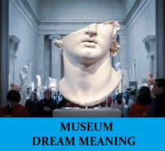Dream About Museums