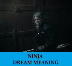 Dream About Ninjas