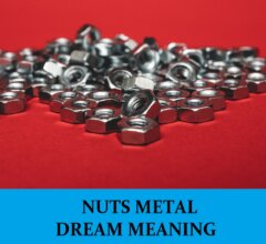 Dream About Nuts Metal