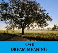 Dream About Oaks