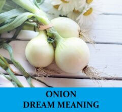 Dream About Onions