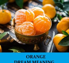 Dream About Oranges