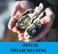 Dream About Oysters