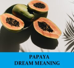 Dream About Papayas