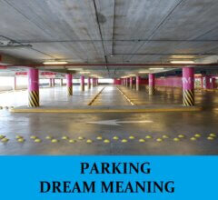 Dream About Parking