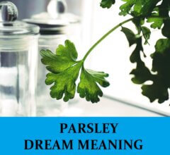 Dream About Parsley
