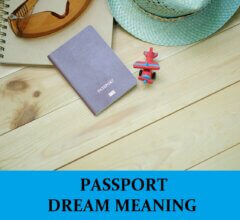 Dream About Passports