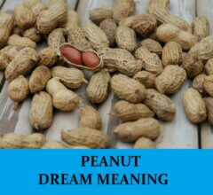Dream About Peanuts