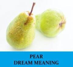 Dream About Pears